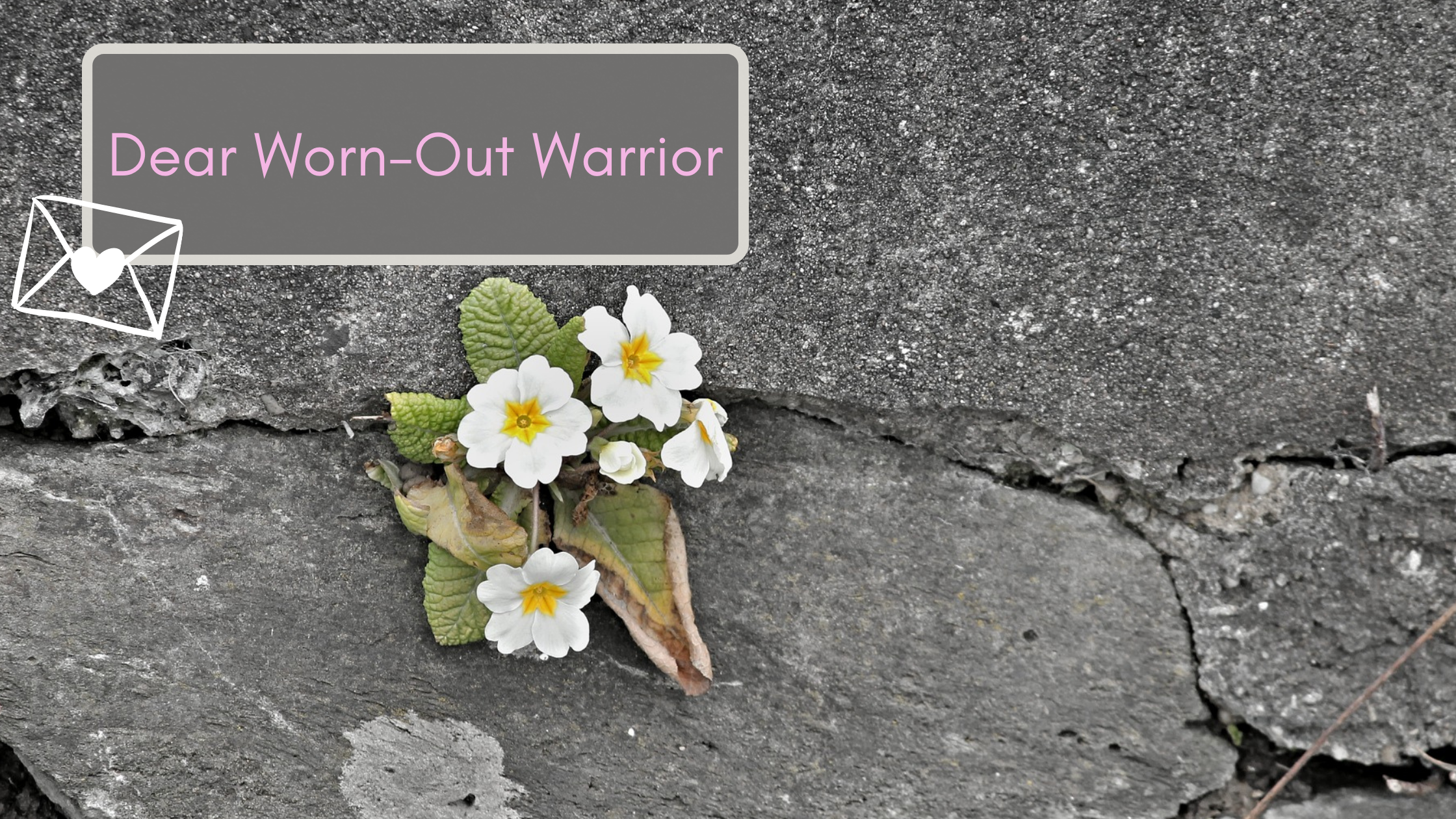 Dear Worn-Out Warrior